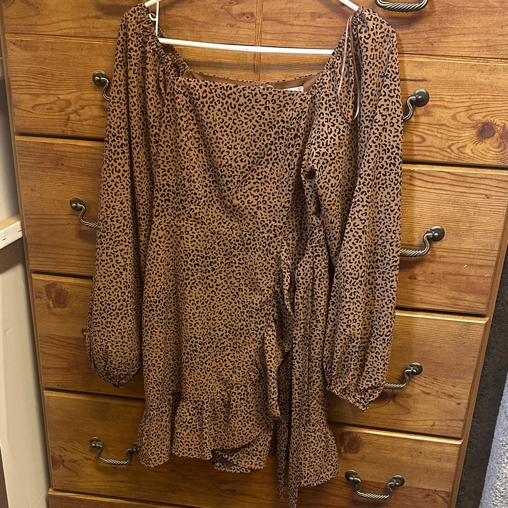Alter’d State Leopard Print Long Sleeve Dress